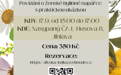 Povídání o ženské bylinné napářce