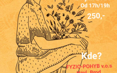 Ženská bylinná napářka – 1. přednáška v HB